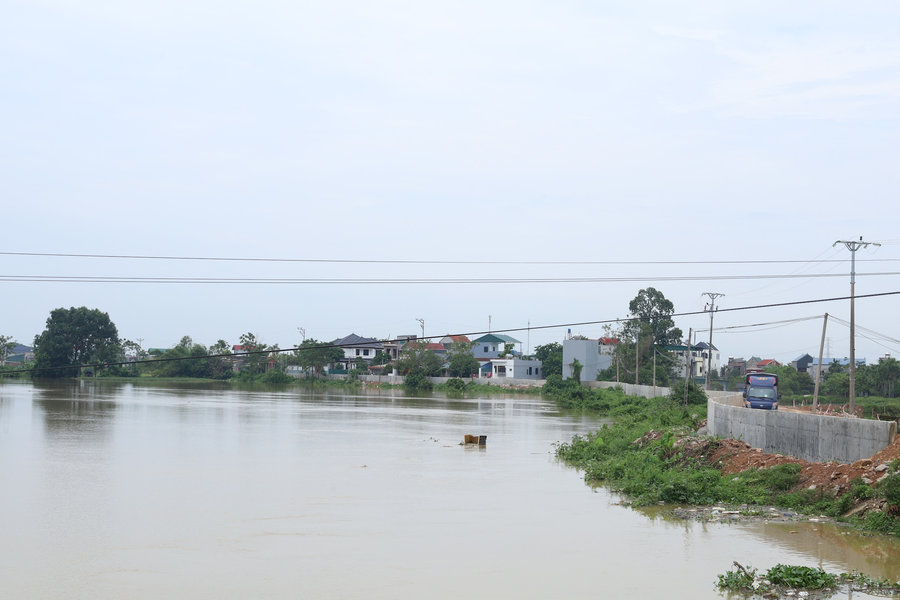 Đê tả Bùi an toàn trước lũ lớn