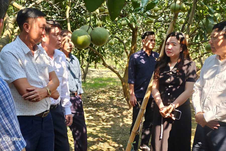 Xã Nội Bài: Đưa Cuộc vận động gắn chặt hơn với phát triển kinh tế địa phương