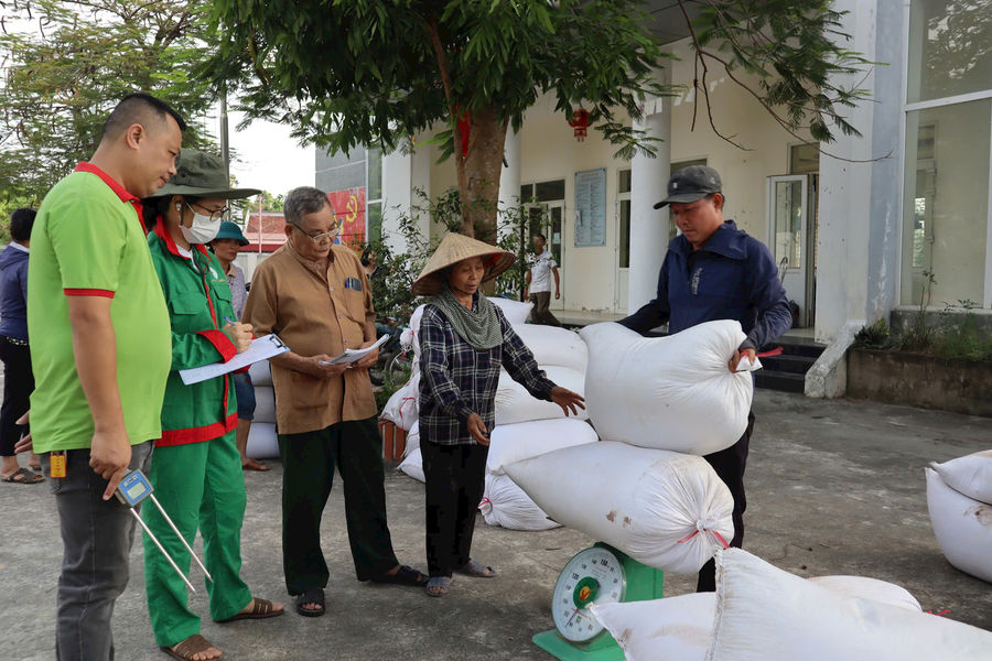 Phát triển vùng chuyên canh lúa hữu cơ tập trung tại Đồng Phú (xã Hòa Phú): Tạo nền tảng cho sản phẩm OCOP chất lượng cao