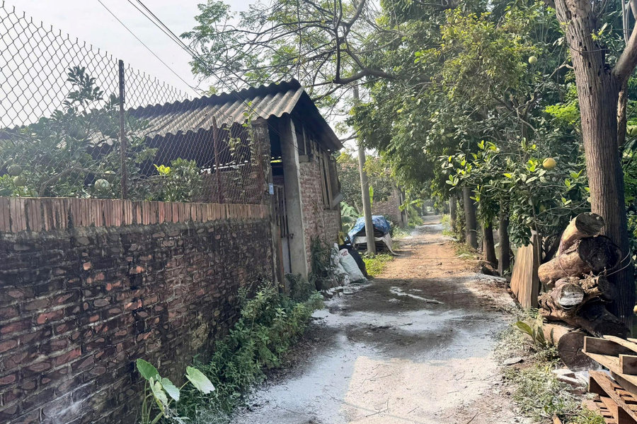 Xã Dương Hòa: Các hộ chăn nuôi lợn phải có biện pháp để đảm bảo vệ sinh môi trường