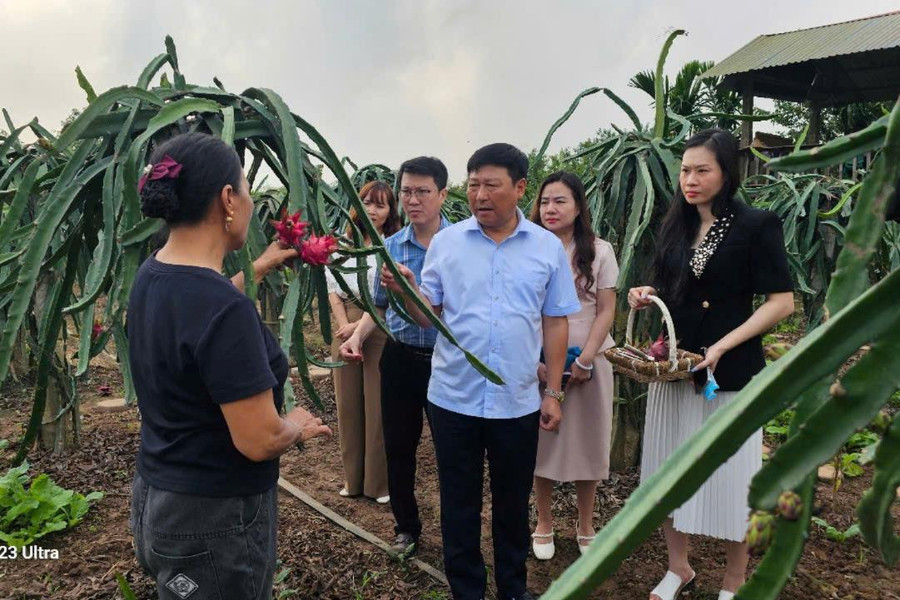 Xã Thuận An đẩy mạnh quảng bá, kết nối tiêu thụ hàng Việt